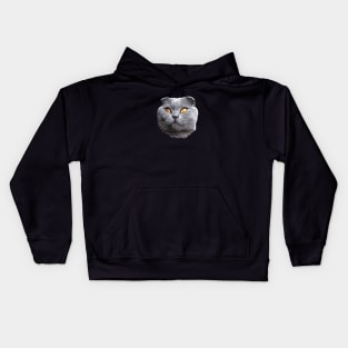 Scottish Fold Blue Beauty Kids Hoodie